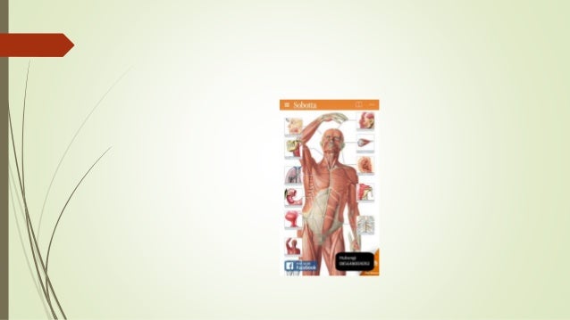 Objective Arithmetic By Sl Gulati Pdf